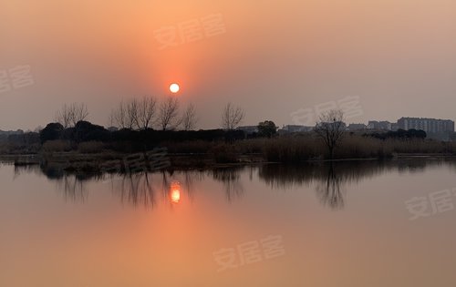 桃李春风太史淀湖景