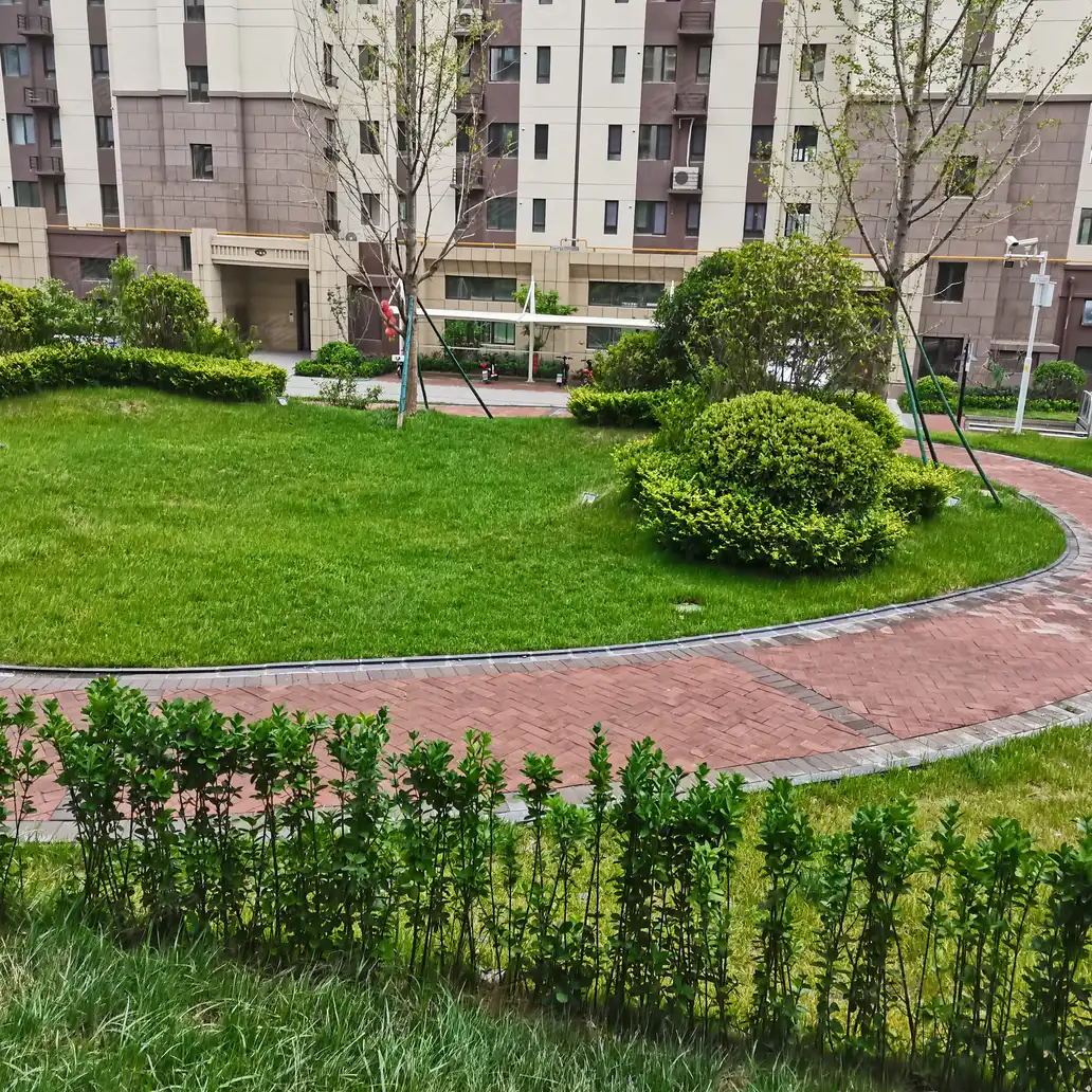 莱州碧桂园莱凤台