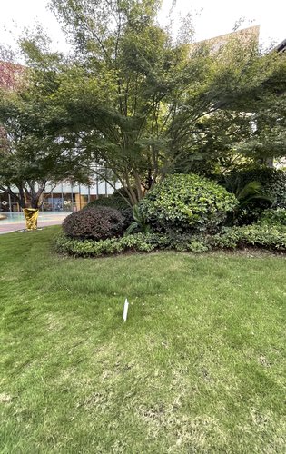 阳光城尚东湾动态:小区园林绿化,一步一景-长沙安居客