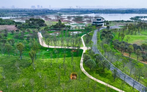 大泽湖近自然湿地公园初现雏形一大波美图先带你逛一圈