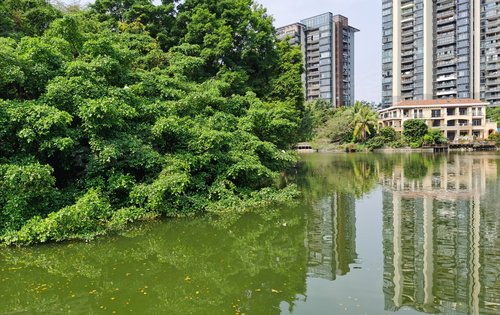 華僑城新天鵝堡動態:華僑城雁棲湖,原生態自然景觀.-深圳安居客