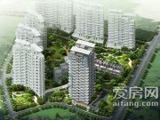 深圳南山蛇口兰溪谷三期国际公寓楼盘新房真实图片