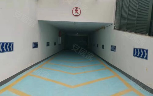 ãСڹοһ