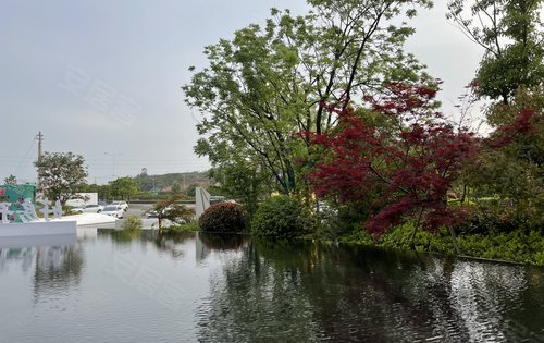 东方今典印象湖山