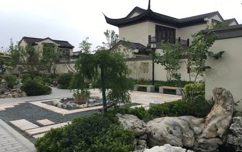 周口蓝城桃李春风带你欣赏江南小镇