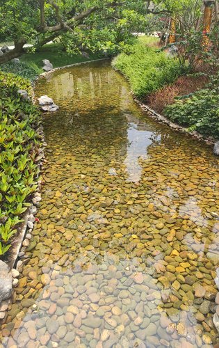 小区中心景观喷水池小区内清澈小溪