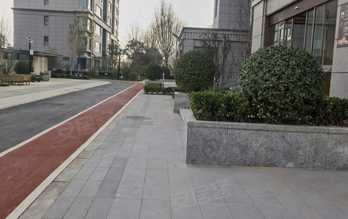 阳光东尚四期东尚名邸,高品质住宅小区,全国范围内遴选布迪椰子,香樟