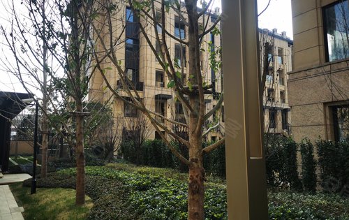 鲁能公馆动态:鲁能公馆吴中区核心区,叠墅,叠墅,叠墅,-苏州安居客