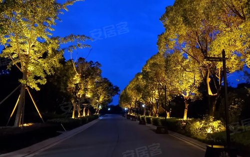 中建汤逊湖壹号动态:就问你们夜景美不美-武汉安居客