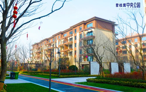 碧桂园中央公园一期盛大交付欢迎看实景