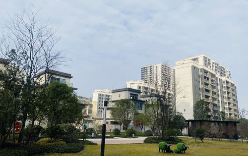 小区水系景观，绿化景观展示