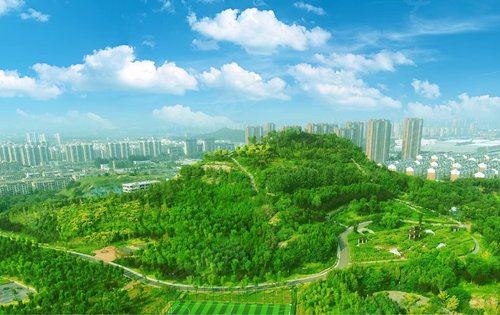 家门口的大美蒋山公园天然的植物氧吧周末娱乐好去处