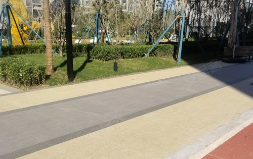 阳光东尚四期东尚名邸,高品质住宅小区,全国范围内遴选布迪椰子,香樟