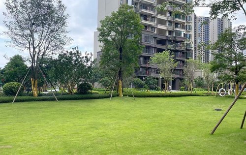 绿地交投中央公园动态:交付区园林绿化以及楼栋外观-钦州安居客