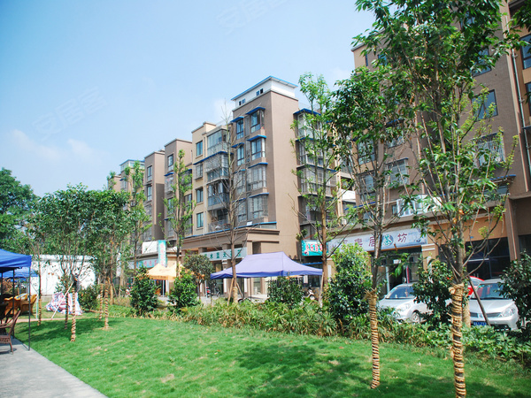 长河郡楼盘现场环境