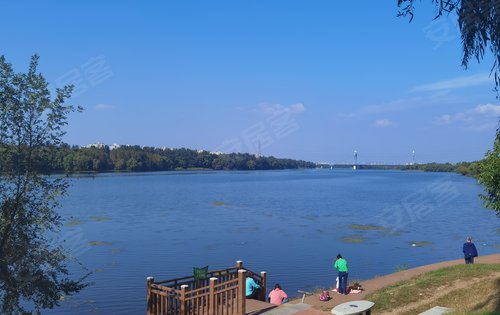 碧桂园云顶动态:楼下长青湾公园-沈阳安居客