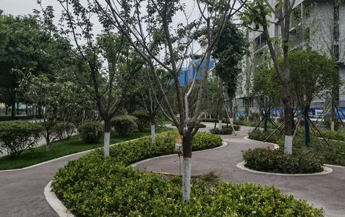 小区门口的口袋公园绿化