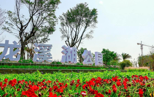 美丽的龙溪湖公园