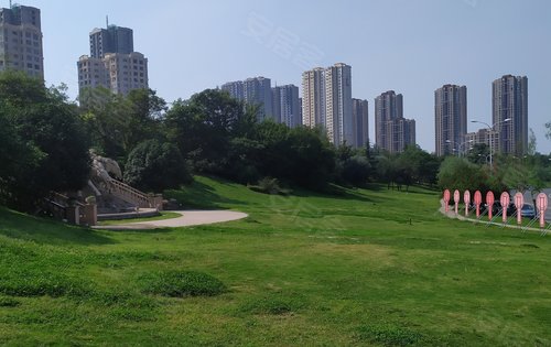 阳光100阿尔勒草坪图片