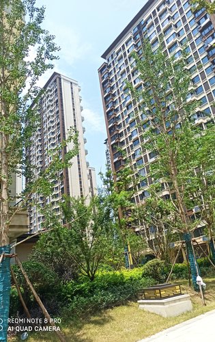 禹洲郎溪上里动态:小区内一角,绿化景观还是非常不错的-合肥安居客