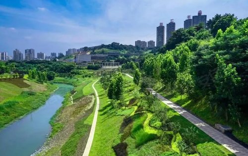 项目周边的公园绿化