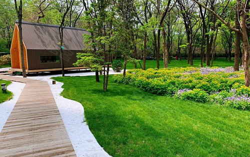 公园里的家 时光不语 静等花开       maha