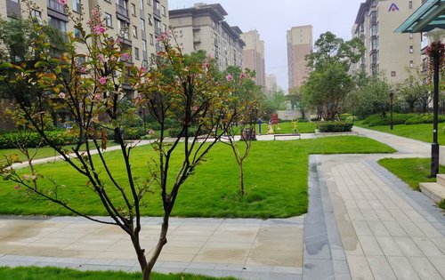 建业春天里江山汇