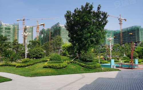 民权碧桂园3期梦蝶园