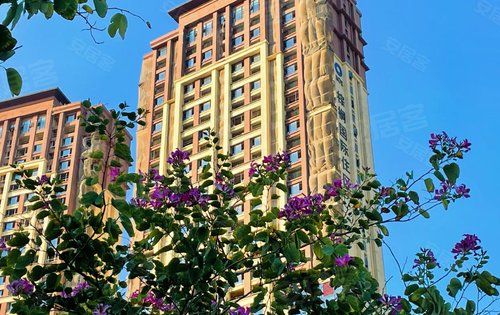 繁华与繁花都能拥有ioi棕榈国际住区