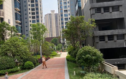 凤山蓝湾动态:小区入住率高,绿化环境好,自带商超以及幼儿园-吉安安居