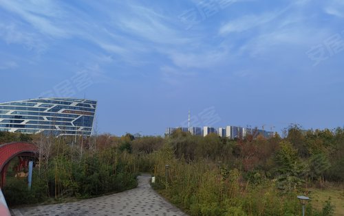 香虹艺术公园就在绿地会展中心北侧天然氧吧