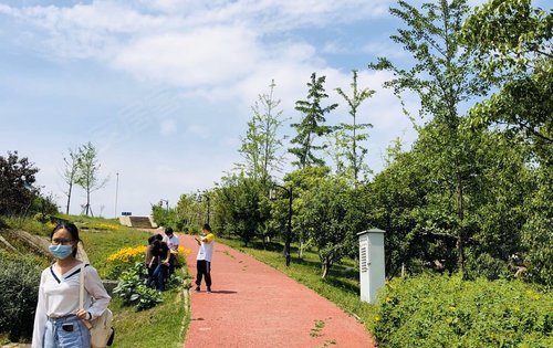 武汉城建·光谷龙山湖动态:项目周边的兰亭公园,景色也是非常宜人