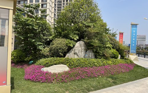 江都碧桂园悦都荟绿化环境