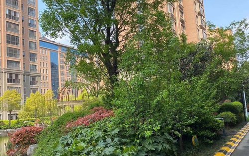 建业花园里动态:建业交付小区-漯河安居客