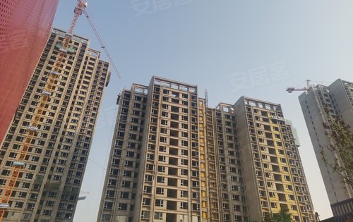 清晨的万科,这是八号楼.