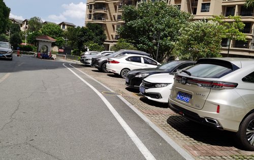 露天停车位充足白天免费停