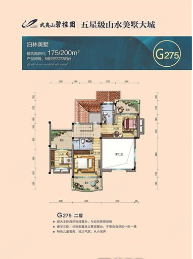 武夷山碧桂园G户型，武夷山碧桂园别墅约200.00平米户型图，朝南朝向 - 南平安居客