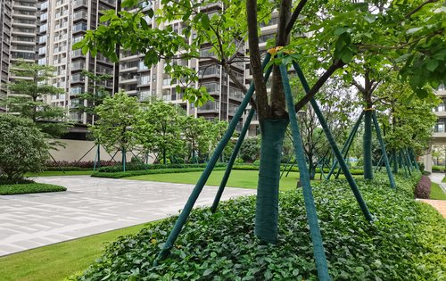 万科中交金枫花园动态:一期园林已完工,绿化率达35%-惠州安居客