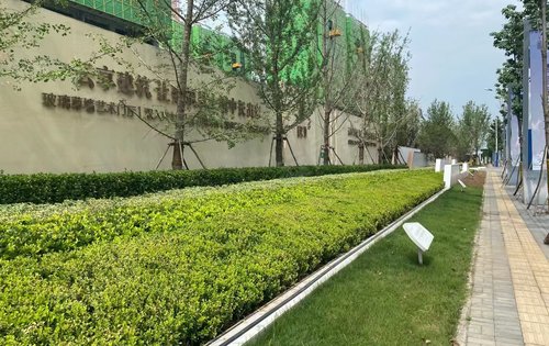 小区门口绿化带