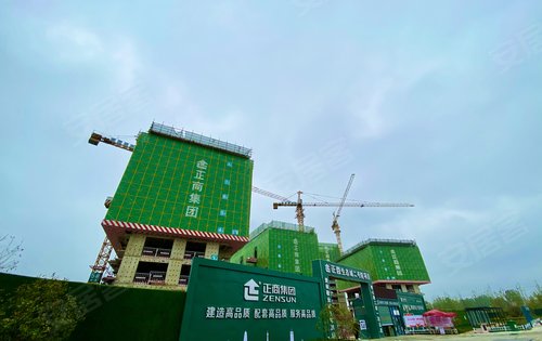 正商生态城温馨的港湾慢慢的在成长在郑州一步一步安家离新家又近了一