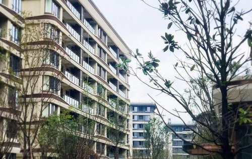 非经典无以称禧瑞茶园首创禧瑞山河示范区样板房还山河之美欢迎来到新