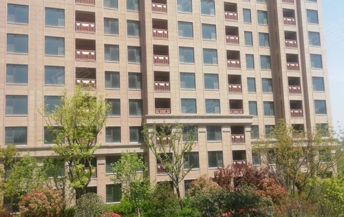 大名城紫金九号