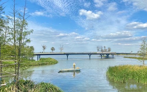 春风湖滨旁美景元荡湖湖景