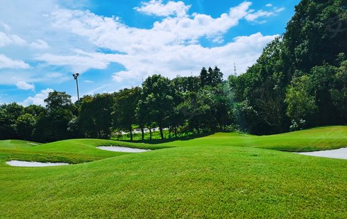 长沙星河湾动态:星河湾超棒的自然资源景观,2400亩高尔夫球场640亩