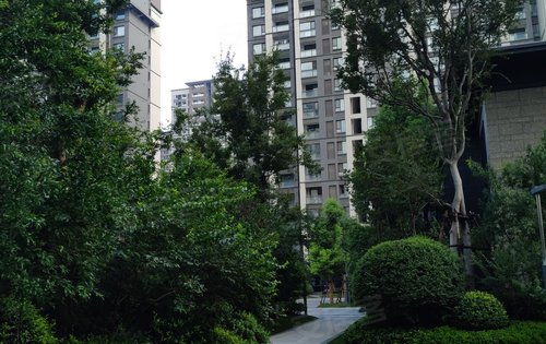 手机实景拍摄永威南樾已入住小区