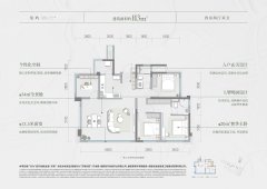 成都经开发展龙湖天琅户型图,成都经开发展龙湖天琅房型图,经开发展龙湖天琅原始户型图大全 - 安居客