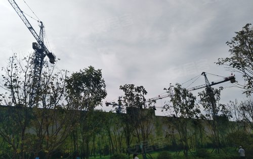 项目陆续在建,有样板间展示,户型格局都可以看到。欢迎参观