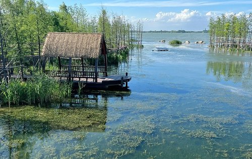 春风湖滨旁美景元荡湖景观美不胜收