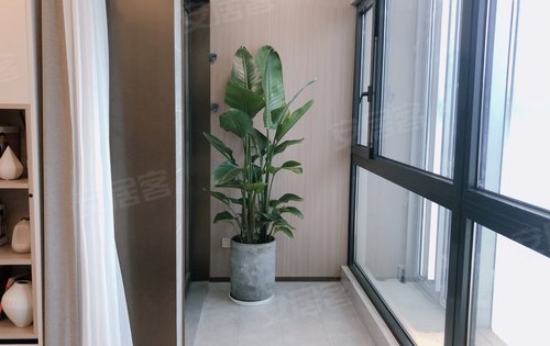 四季都会晓风来