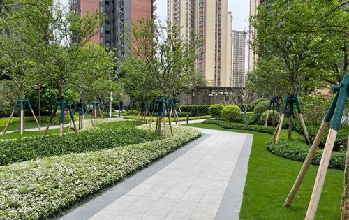 小区环境干净整洁还有中央大草坪带你体验亲子活动